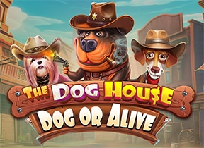 The Dog House – Dog or Alive